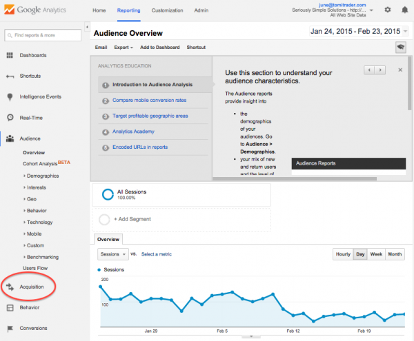 Google Analytics - Audience Overview