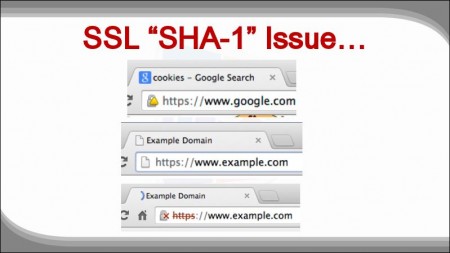 Digital Marketing This Week - Marketers guide to security - SHA-1 Issue