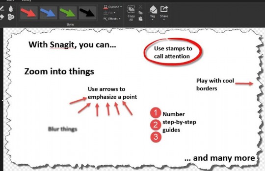 Snagit Example