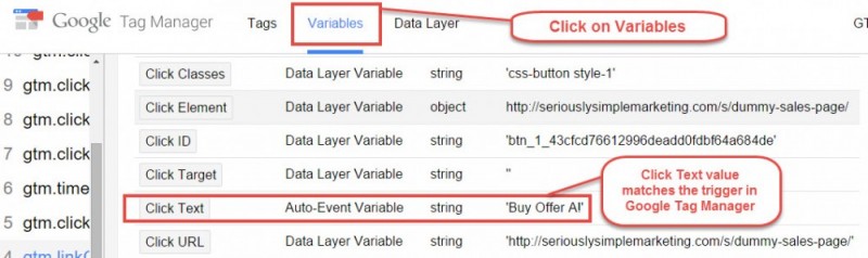 variables-google-tag-manager-preview